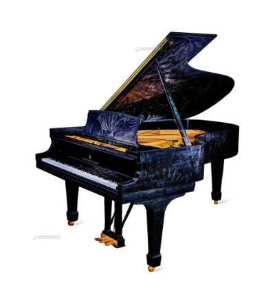 施坦威 新潮视觉艺术钢琴“黑珍珠”款