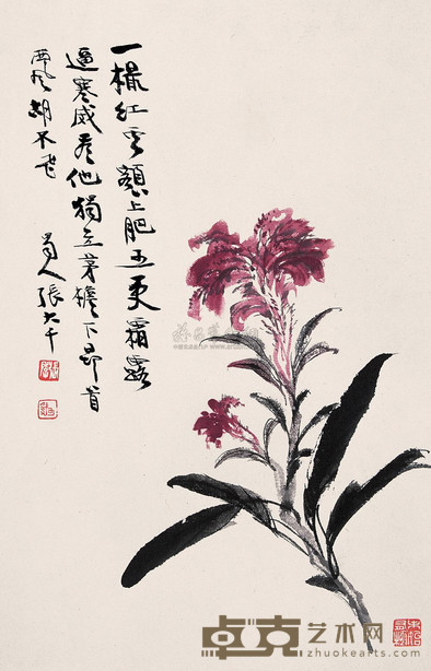 张大千 鸡冠花 镜心 32×21cm