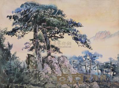 张鹤龄 1984年作 泰山姐妹松 镜心 56×76cm