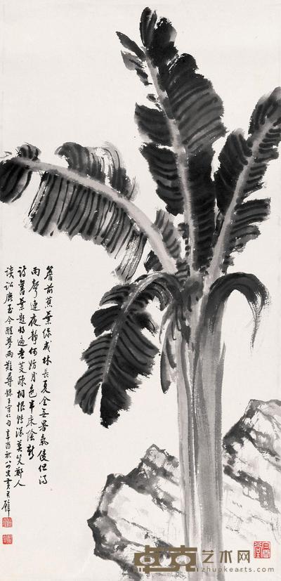 黄君璧 1981年作 芭蕉 镜心 96×47cm