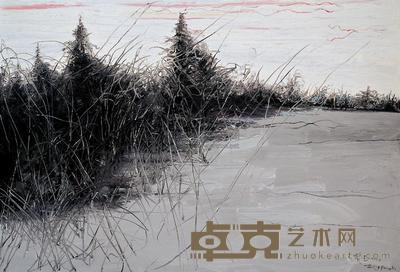 曾梵志 2005年作 风景 150×220cm