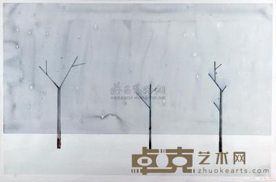 刘野 2007年作 雪·细语 66×102cm