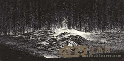 赵小海 希望之光 镜心 67×137cm