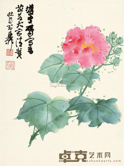 谢稚柳 芙蓉花 镜心 40×30cm