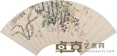 张大壮 紫藤 扇面 19×52cm