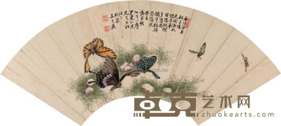王玉燕 蝴蝶 扇面 17×50cm