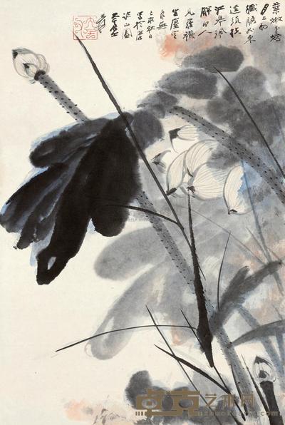 张大千 1959年作 荷花 镜心 71×48cm