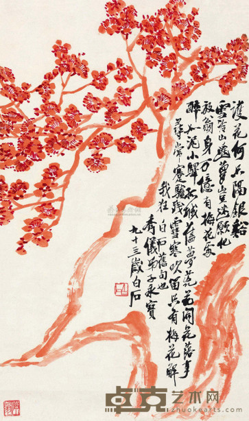 齐白石 1954年作 朱砂梅 镜心 72×42cm