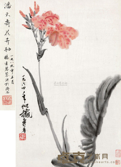 潘天寿 1964年作 美人蕉 立轴 67×42cm