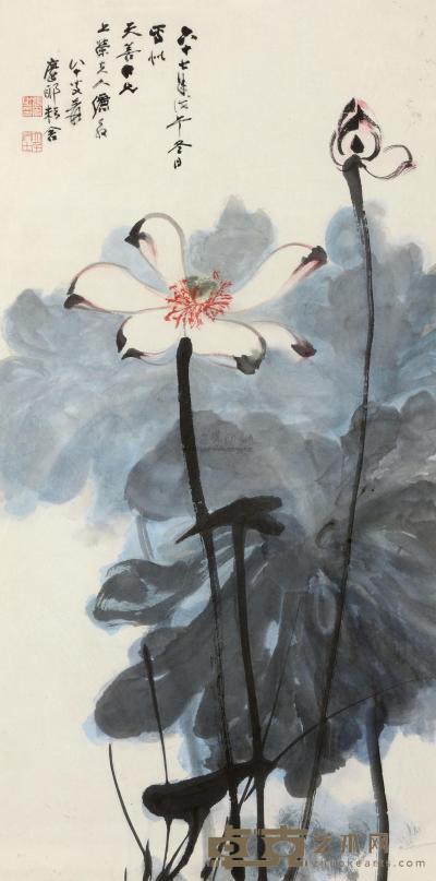 张大千 1978年作 莲花 镜心 90×45cm