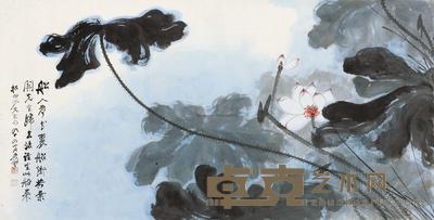 张大千 荷花 镜心 68×134cm