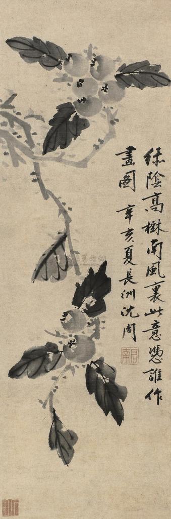 沈周 （传） 1491年作 枇杷 立轴