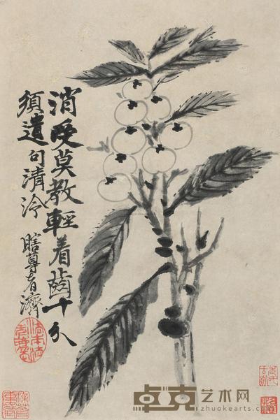 石涛 (传) 枇杷 立轴 37×25cm