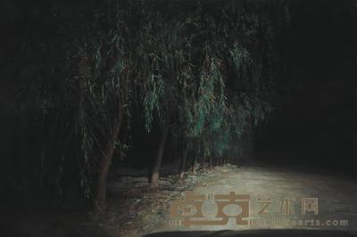 陆亮 2011年作 夜路 60×90cm