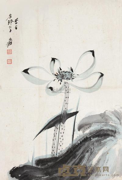 张大千 荷花 立轴 60×40cm