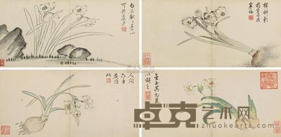 乾隆帝 水仙图册 册页 (四开) 13×26.5cm×4