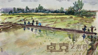 宗其香 稻田 15×26.5cm