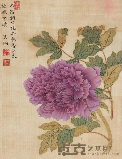 吴纲 牡丹 立轴 30×23cm