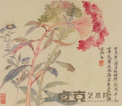 恽寿平 鸡冠花 镜框 30×27cm