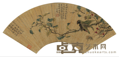 陆治 王宠 1535年作 茶花翠鸟 扇面 15×45cm