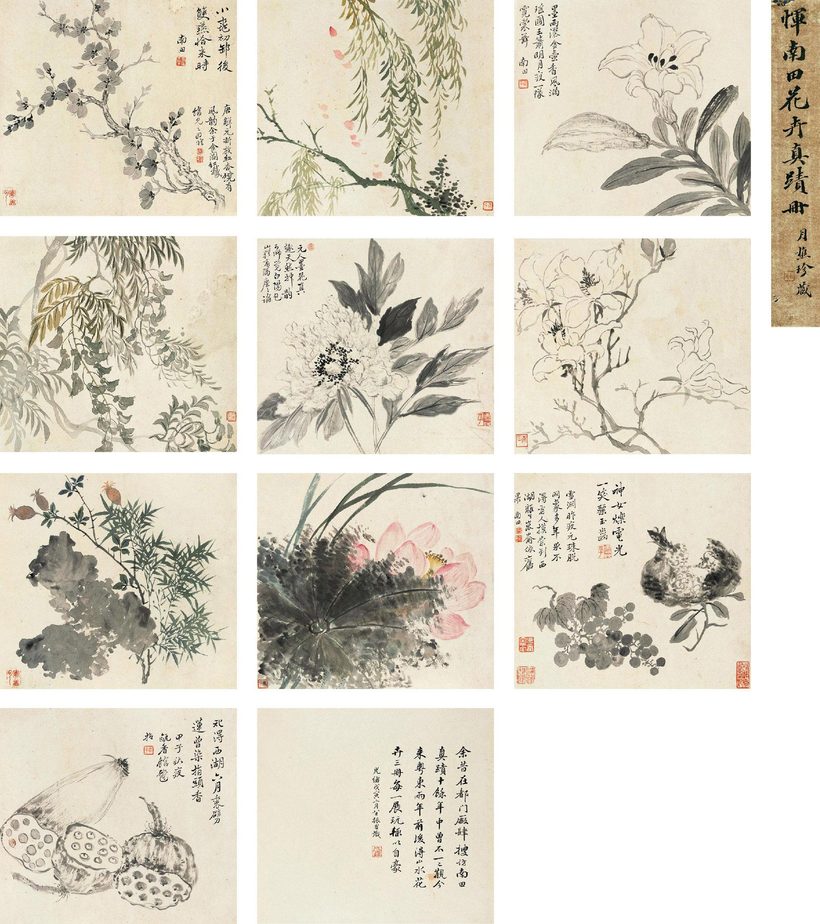 恽寿平 花卉册 册页