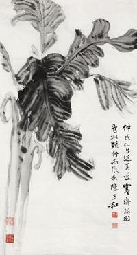 陈子和 芭蕉 镜心