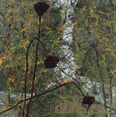 黄冠余 2008年作 荷合 75×75cm