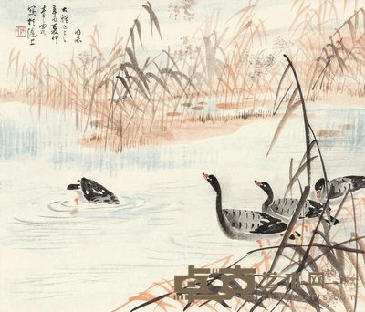 吴青霞 芦雁 镜心 43×51cm