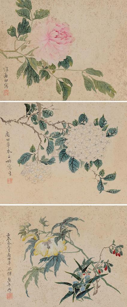 恽寿平 花卉 （三帧） 镜心