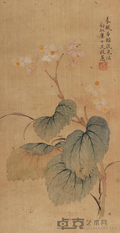 程蕙 芍药图 镜心 37×19cm