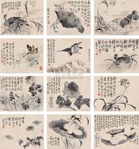 花卉动物合册