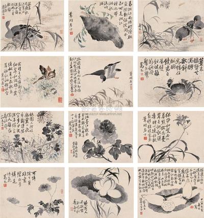 花卉动物合册