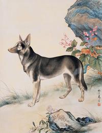 后园名犬