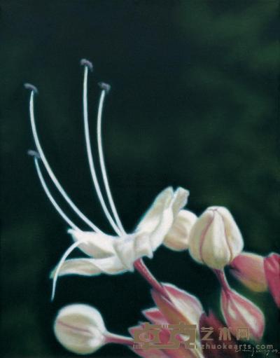花卉