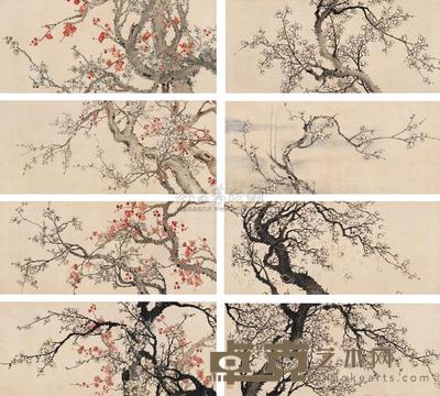 寒梅报春