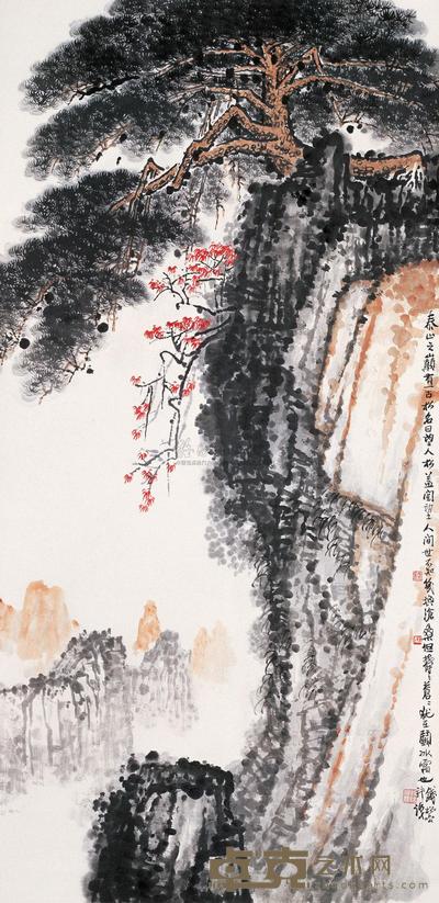 泰山松