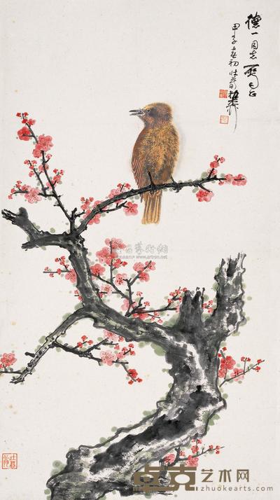 梅花山雀