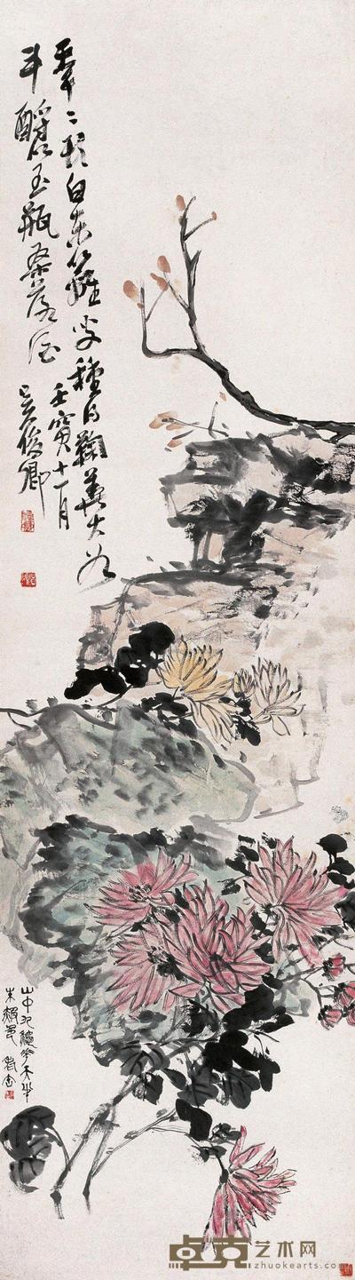 菊石图