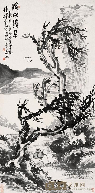 深山读易