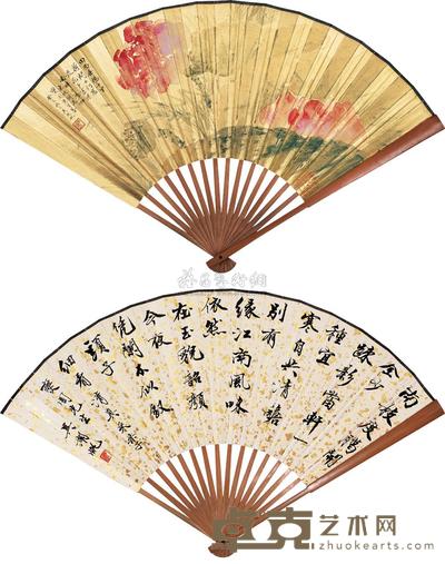 六月荷花