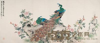 孔雀牡丹 