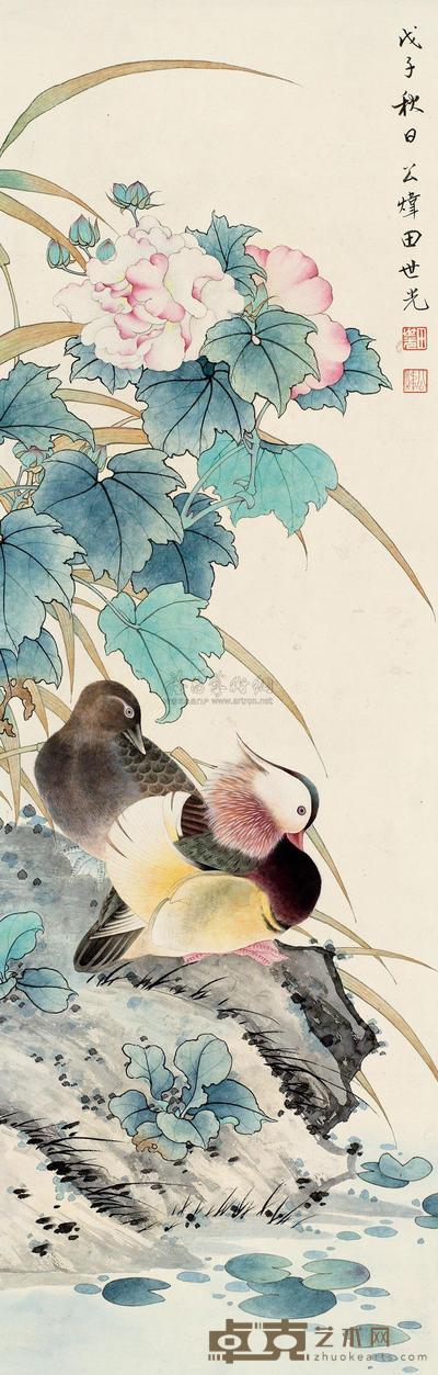 芙蓉鸳鸯