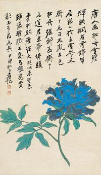 佛头青牡丹