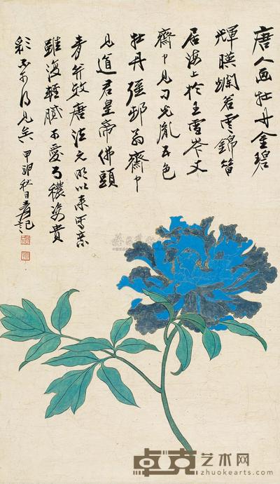 佛头青牡丹
