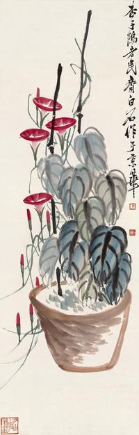 盆景牵牛花