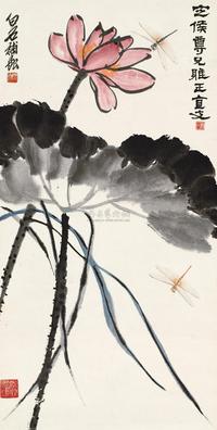 荷花蜻蜒