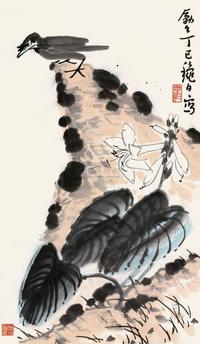 玉簪八哥