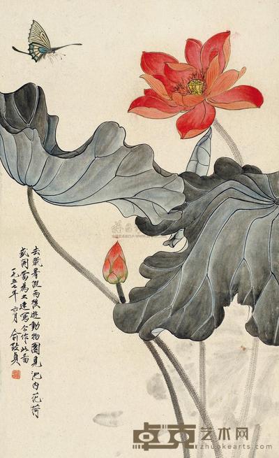 荷花