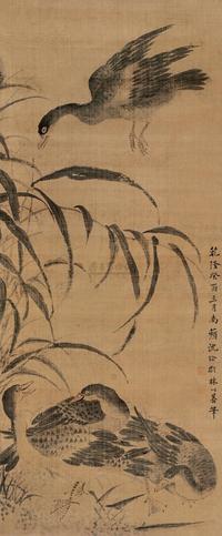 苇间芦雁