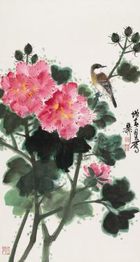 芙蓉小鸟